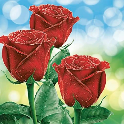 Image of Daisy 3 Ply Flowers Tissue Paper Napkins Serviettes for Decoupage Lunch 33 x 33cm Pack of 20 (Three Classic Red Roses)