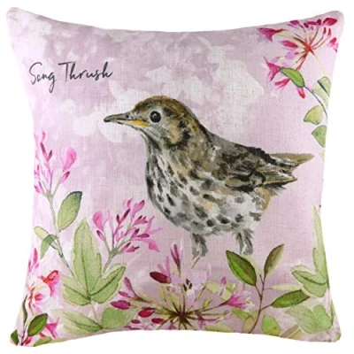 Image of Evans Lichfield Song Thrush Cushion Multicolour Size 43 cm x
