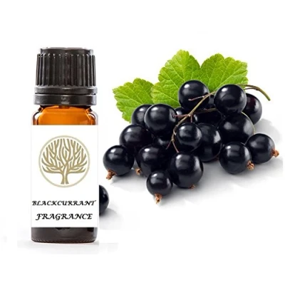 Image of EkoFace Blackcurrant Fragrance Oil 10ml for Candle making, Burner, Potpourri &amp; Bath