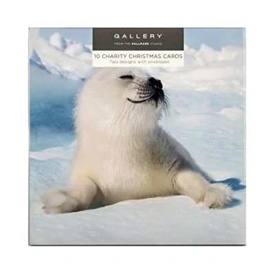 Image of Hallmark Charity Christmas Cards, Boxed Pack of 10 2 Polar Animals Photographic Designs