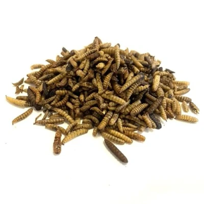 Image of Dried Calciworms 10kg Premium Wild Bird &amp; Hedgehog Food