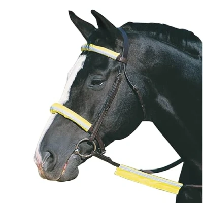 Image of Roma Reflective Bridle Kit, Yellow, One Size