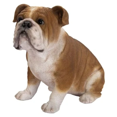 Image of Vivid Arts Bulldog XRL BDOG D