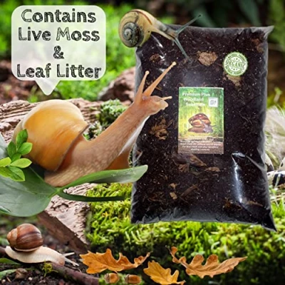 Image of Bugznbits Premium Plus + Woodland land snail Soil. African substrate (12 litre)