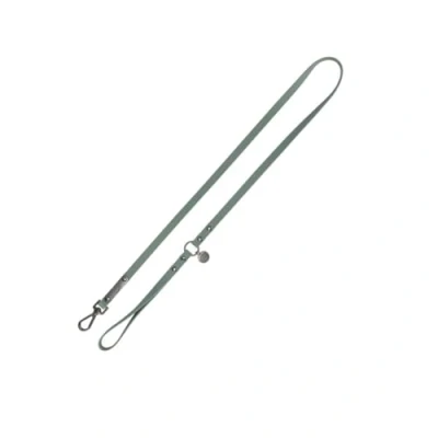 Image of TRIXIE CityStyle L XL, 1.00 m/20 mm Sage, PVC Lead for Dogs, Non Slip, Water Repellent &amp; Washable Small, Medium Large 1971119