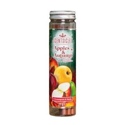 Image of Samuel ALEXANDER 25g Apples and Autumn Scented Christmas Scentsicles with 6 Hanging Hooks