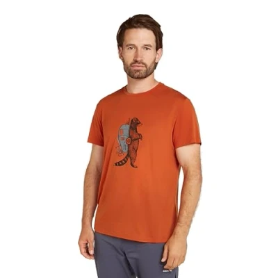 Image of Icebreaker Men&#039;s Merino Core Short Sleeve Tee Waschbar Wandering Everyday T Shirt Molten, S