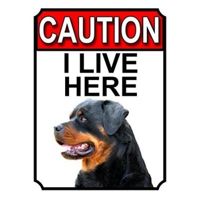 Image of Shawprint CAUTION I LIVE HERE METAL GATE SIGN ROTTWEILER THEME 200MM X 150MM (1415H1)