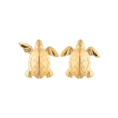 Image of Lily Charmed 18ct Gold Plated Silver Turtle Stud Earrings