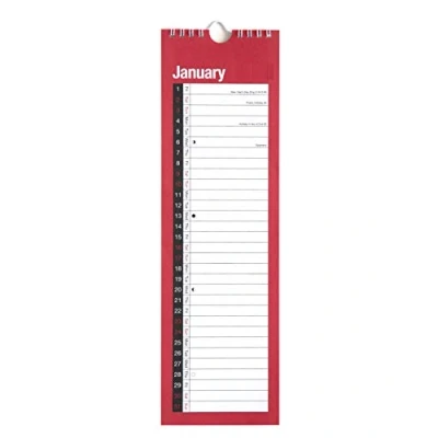 Image of 2025 Month to View Spiral Bound Wall Planner Organiser Calendar (SLIM 3801)