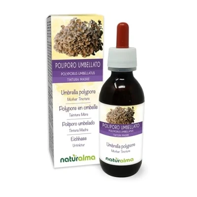 Image of Umbrella polypore (Polyporus umbellatus or Grifola umbellata) Fungus Mushroom Alcohol Free Mother Tincture Naturalma Liquid Extract Drops 120 ml Food Supplement Vegan