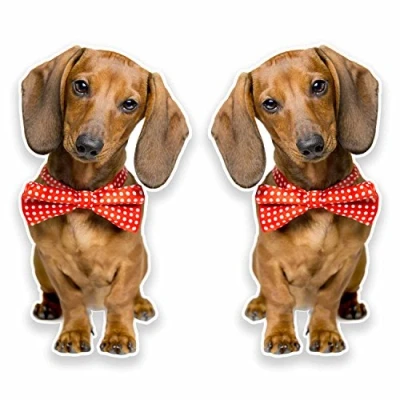 Image of 2 x 10cm Dachshund Vinyl Stickers Decals Laptop Car Sausage Dog Gift Fun #9638 (5.5cm Wide Tall)