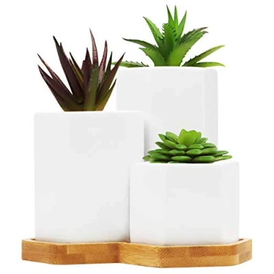 Image of BELLE VOUS 3 Pack White Ceramic Succulent Plant Pots with Bamboo Tray Small, Medium and Large Cactus &amp; Flower Planter Pot Set Drainage Holes For Office, Desk, Indoor Table Outdoor Garden