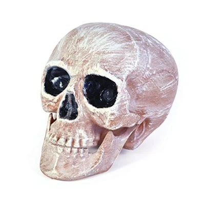 Image of Bristol Novelty HI266 Accessory Realistic Skull Head 1 Piece Multicoloured 21 cm, Pink/White, One Size