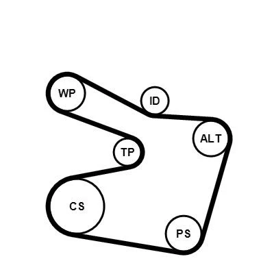 Image of 6PK1538 V ribbed belt set CONTITECH 6PK1538K2 BMW: 3 Touring, Coupe, Saloon