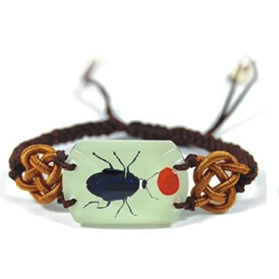 Image of Real Blue Leaf Beetle Bracelet GLOW IN THE DARK Insect Specimen Charm YL1618