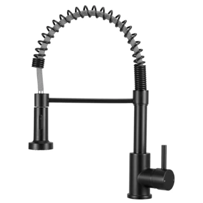 Image of Peppermint Black Kitchen Taps with Pull Out Spray Spring Sink Single Lever Mixer Tap Down Sprayer Dual Functions