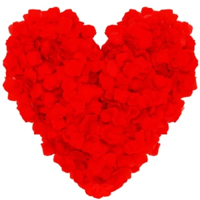 Image of OWLKELA 3000pcs Red Rose Petals, Artificial Flowers, Silk Romantic Decoration for Valentine&#039;s Day, Wedding, Christening, Birthday, Atmosphere