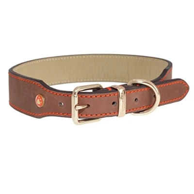 Image of Rosewood Luxury Leather Dog Collar, 18 22 inch, Brown