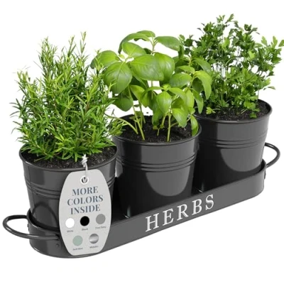 Image of Barnyard Designs Indoor Herb Garden Planter Set with Tray, Metal Windowsill Plant Pots Drainage for Outdoor or Plants, Black, Set/3
