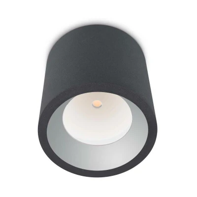 Image of Cosmos LED 1 Light Outdoor Surface Mounted Ceiling Urban Grey IP65