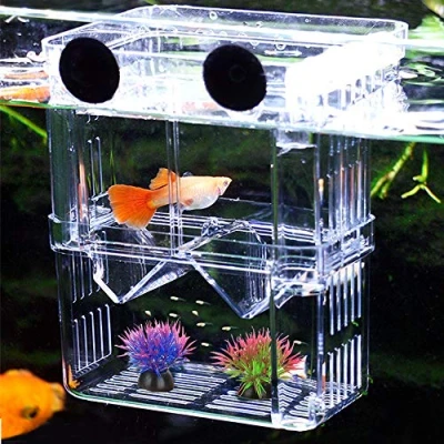 Image of Aquarium Fish Breeding Box, NETUEM Acrylic Double Layer Isolation Box/Baby Hatchery/Fry Breeder Box for Guppy,Tropical Fish, Floating Incubator Tank Divider with Suction Cups, L size