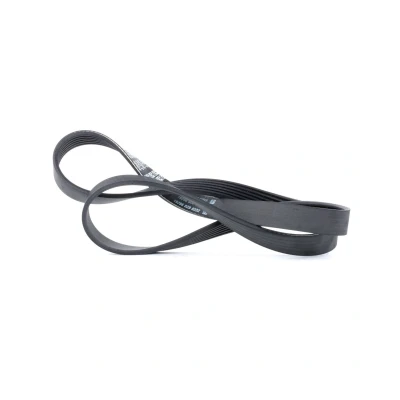 Image of Dayco 6PK1130 Poly Rib Belt