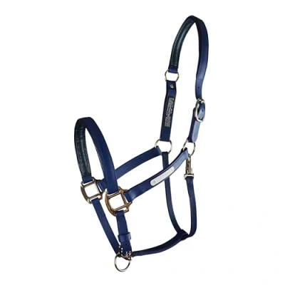Image of equilibrium Stellar All Weather Safety Headcollar (Navy, M)
