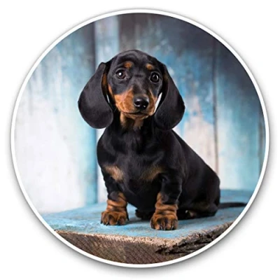 Image of Vinyl Stickers (Set of 2) 10cm Sausage Dog Dachshund Puppy Decals for Laptops,Tablets,Luggage,Scrap Booking,Fridges, 16342
