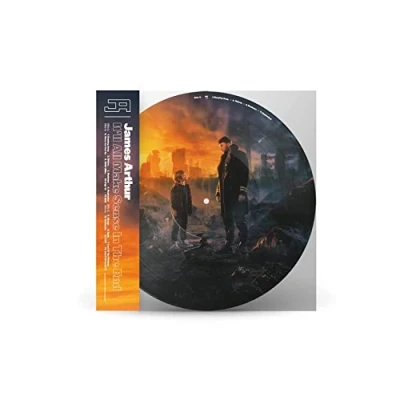 Image of James Arthur It&#039;ll All Make Sense In The End Sealed 2021 UK picture disc LP 19439874051