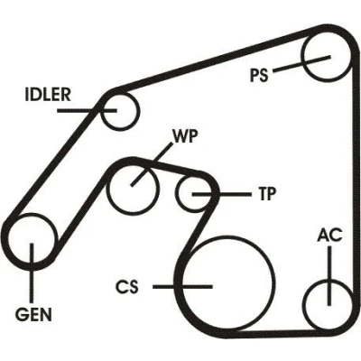 Image of 038198119B Timing belt kit CONTITECH CT1028K5 120 without tensioner pulley damper AUDI: A6 C5 Avant, VOLKSWAGEN: Golf 4, Lupo / 3L