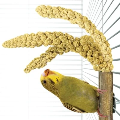 Image of Grass and Millet Treat Holder for Parrot Cages
