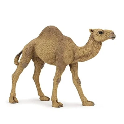 Image of Papo WILD ANIMAL KINGDOM Tiere Figurine, 50151 Dromedary, Multicolour