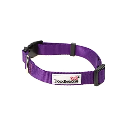 Image of Doodlebone Dog Collar, Violet, 1 2