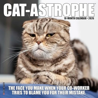 Image of Cat astrophe Mini Calendar 2026