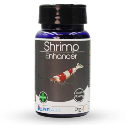 Image of NT Labs Pro f Shrimp Enhancer, Aquarium Fish Food, Sinking Feed, Assists Exoskeleton and Moulting. 40g