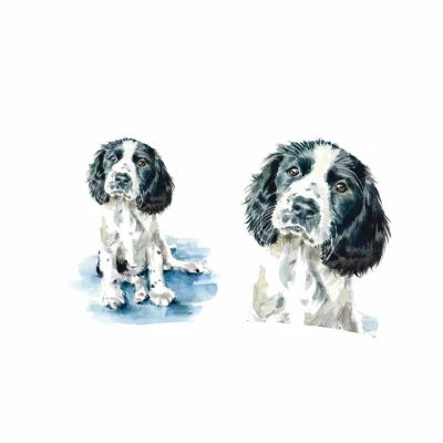 Image of Otter House Limited Springer Spaniel Latte Mug