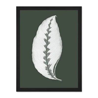 Image of Wee Blue Coo Botanics Hunter Green Jungle Leaf Large Black Framed Art Print Wall Poster 18x24 inch