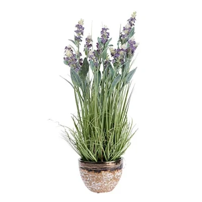 Image of HOMESCAPES Purple Artificial Lavender Plant with Long Realistic Green Leaves Potted In a Brown &amp; White Ceramic Bowl, 66cm Tall for Indoor Decoration