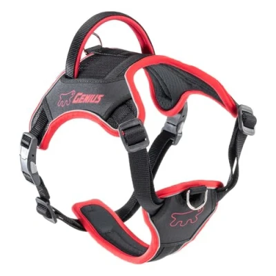 Image of Ferplast GENIUS Medium Size Dog Harness, Reflective, Breathable, Adjustable, Quick Release Magnetic Closure, Soft Padding, Red