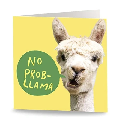 Image of Maturi &#039;No Prob Llama&#039; Funny Humorous Birthday Greetings Card Blank Inside, 15.5 x cm