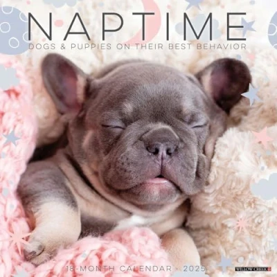 Image of Naptime Dogs and Puppies 2025 Wall