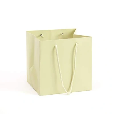 Image of Pack of 10 Hand Tied Florist Flower Gift Bags with Rope Handle Sage Green