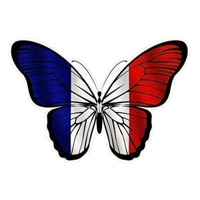 Image of Sticar it Ltd Beautiful Butterfly France French Tricolore Country Flag Vinyl Car Sticker Decal (130x90mm approx (sml))