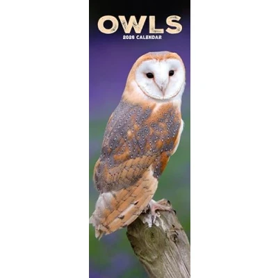 Image of Owls Slim Calendar 2026