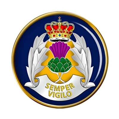 Image of Strathclyde Police Pin Badge
