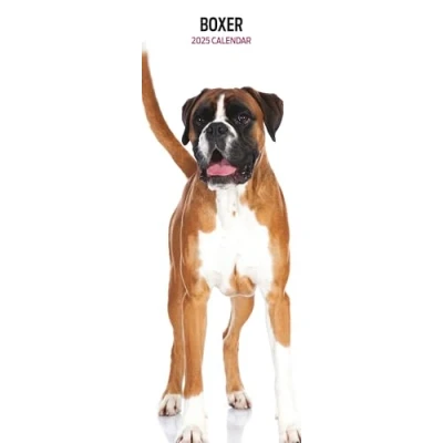 Image of Boxer 2025 Slim Calendar