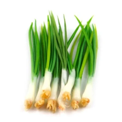Image of MyTinyWorld 5 x Dolls House Miniature Handmade Large Spring Onions