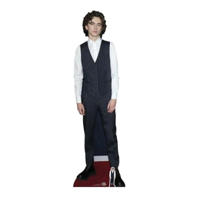 Image of Star Cutouts CS817 Timothee Chalamet Cardboard Cutout Perfect for Fans Height 179cm Width 53cm