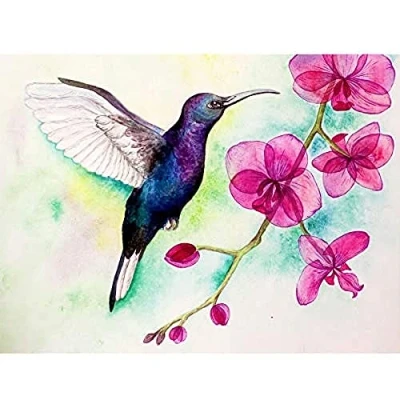 Image of Wee Blue Coo Hummingbird And Orchid Unframed Art Print Poster Wall Decor 12x16 inch